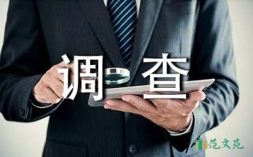 調查報告的作文400字錦集9篇