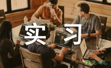 大二學(xué)生實(shí)習(xí)報(bào)告六篇