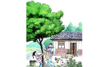 《桂花雨》教學(xué)設(shè)計(jì)通用15篇