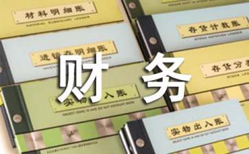 財務(wù)部試用期工作總結(jié)